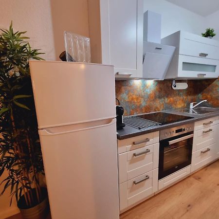 Lifestyle-Appartment Near Basf In Ludwigshafen Extérieur photo