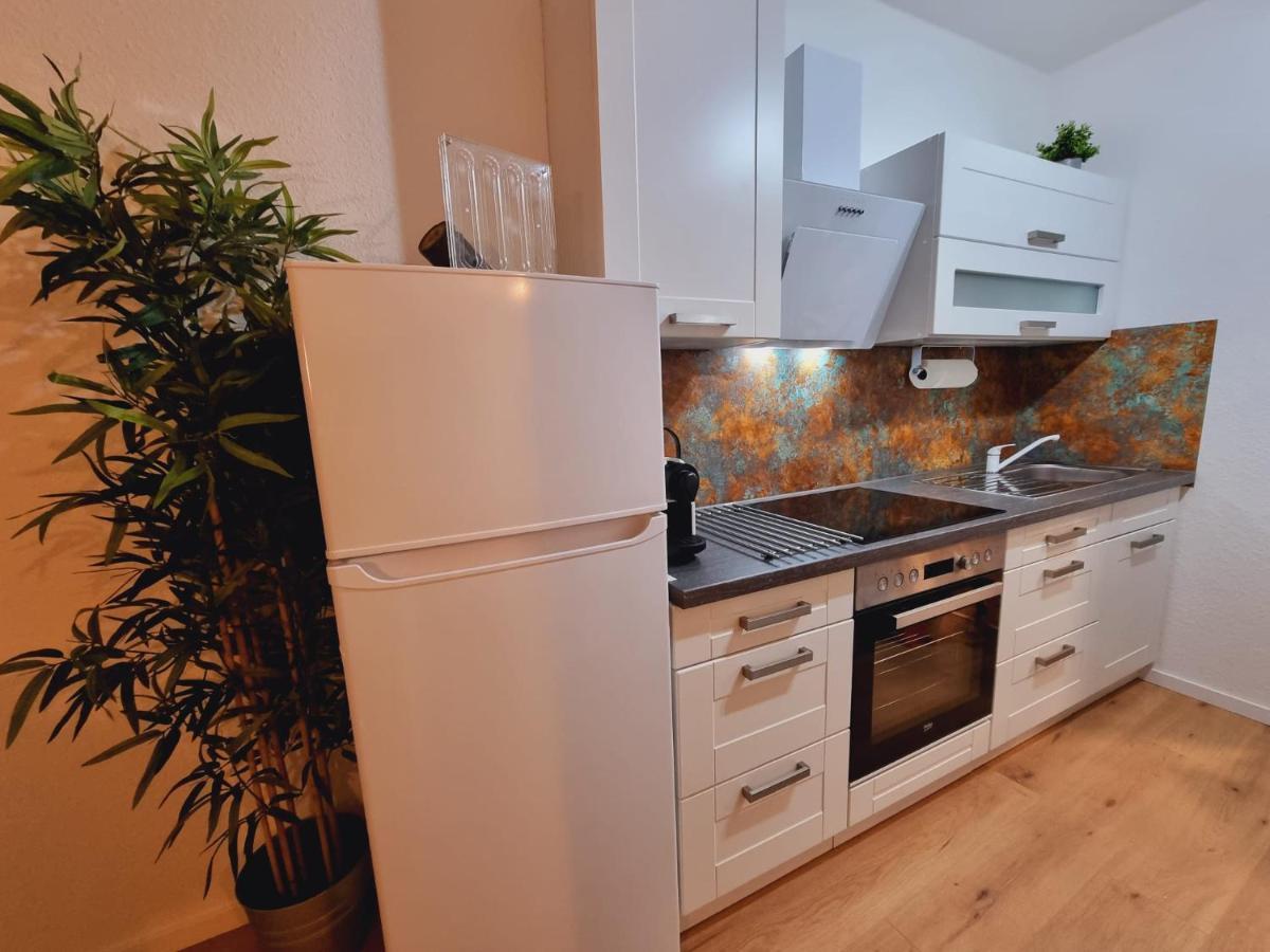 Lifestyle-Appartment Near Basf In Ludwigshafen Extérieur photo